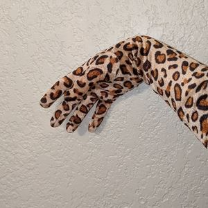 Meet your Posher, Joey